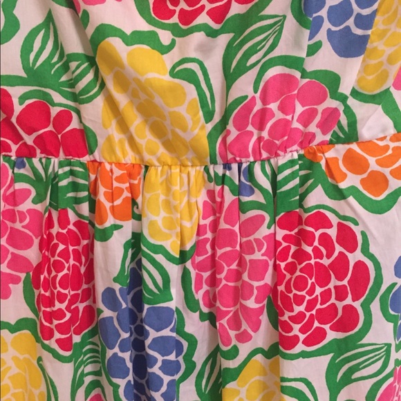 🌺Lilly Pulitzer Dress🌺 - Picture 4 of 5
